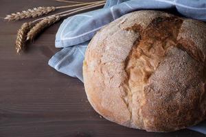 Loaf of freshly baked homemade artisan bread  and spikelets with wheat grains photo