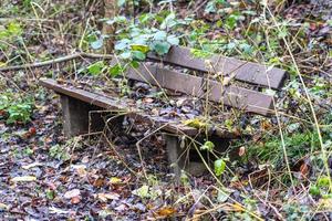 View of a bench in a park with a garden photo