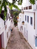 Alley with white houses in Alentejo, Portugal photo