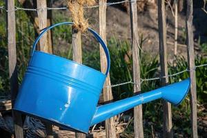 blue watering can photo