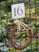 Closeup shot of a number plate on the fence with the number 16 photo