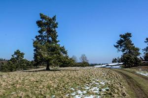 un campo rural con nieve derretida en un día soleado foto