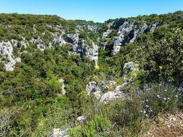 Rural landscape with plants on rocky hills on a sunny day photo