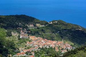 Mesmerizing view of a village on the hill amid thickly growing dense trees under the sunlight photo