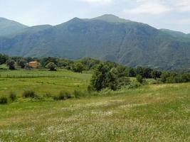 landscape with trees photo