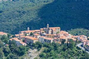 Mesmerizing view of a village on the hill amid thickly growing dense trees under the sunlight photo