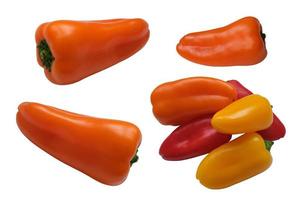 Orange, red, yellow sweet peppers set close-up, fresh organic vegetables, decor element for any design, clipping path, cut out image photo