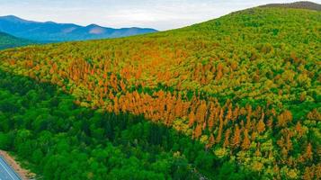 árboles alpinos brillantes durante la puesta de sol del monte washington foto