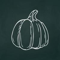 Large pumpkin thin white lines on a textural dark background - Vector