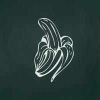 Banana thin white lines on a textural dark background - Vector