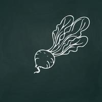 Turnip thin white lines on a textural dark background - Vector