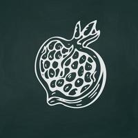 Ripe pomegranate thin white lines on a textural dark background - Vector
