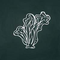 hojas de lechuga finas líneas blancas sobre un fondo oscuro de textura - vector