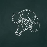 Broccoli thin white lines on a textural dark background - Vector