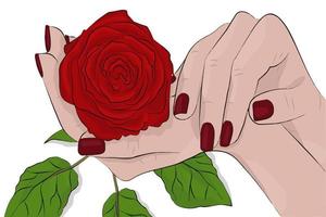 Vector illustration of a beautiful rose in your hands. An idea for fashion illustrations, magazines, fashion, advertising, interior decoration, for drawing, for various types of creativity.