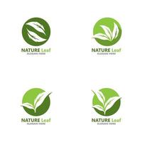 Nature leaf icon and symbol template vector