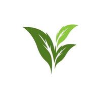 Nature leaf icon and symbol template vector