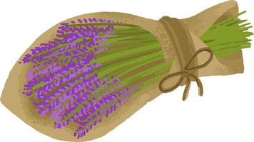 Ilustración de vector de ramo de lavanda dibujada a mano