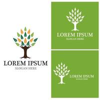 Tree icon and symbol vector template