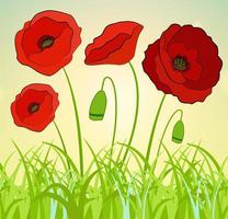 Beautiful abstract background with red poppies flowers. vector