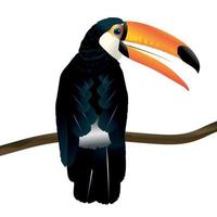 Toucan Sitting on a Branch vector