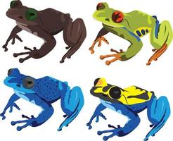 Tropical Frog Set vector