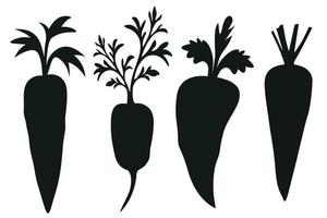 Set of Isolated carrots with leaves vector