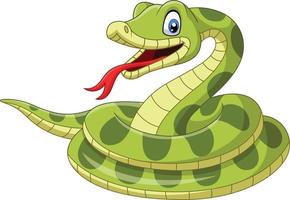 Cartoon green snake on white background vector