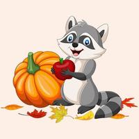 Cartoon raccoon holding red apple and pumpkin vector