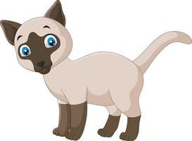 Cartoon cute siamese cat on a white background vector