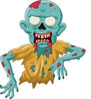 Cartoon zombie isolated on white background vector