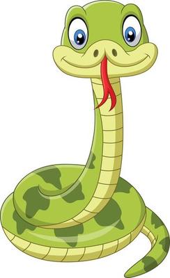Cute green snake cartoon on white background