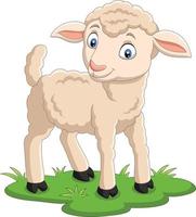 Cartoon happy lamb on the grass vector