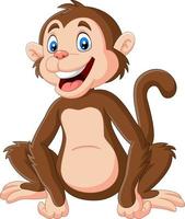 Cute baby monkey sitting on white background vector