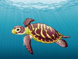 Cartoon sea turtle swimming in the ocean vector