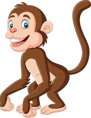 Cute baby monkey cartoon on white background