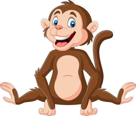 Cute baby monkey sitting on white background