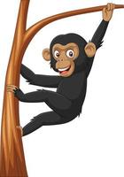 Cartoon baby chimpanzee hanging in tree branch vector