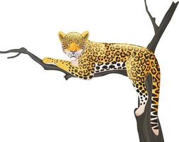 leopardo de dibujos animados acostado en una rama de árbol vector