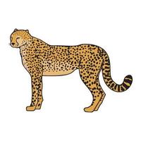 ilustración de arte de guepardo vector