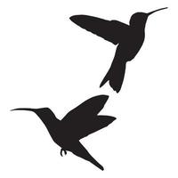 Humming Birds Silhouette vector