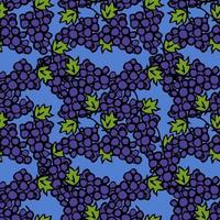 Seamless grape vector pattern. Doodle vector with blue grapes icons. Vintage grapes pattern