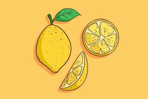 lemon fruit collection with colored hand drawn style vector