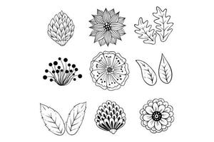 set of hand drawn spring flower and leaves vector