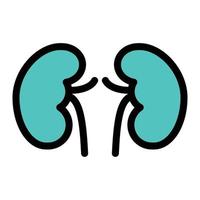 kidney vector illustration on a background.Premium quality symbols.vector icons for concept and graphic design.