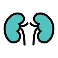 kidney vector illustration on a background.Premium quality symbols.vector icons for concept and graphic design.