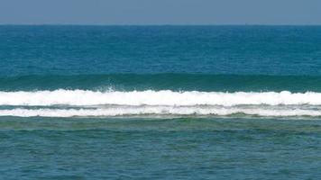 onde sulla barriera corallina video