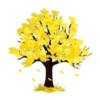 Illustration of an autumn tree. vector