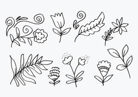 a collection of hand-drawn flower images such as bellflower, chrysanthemums, sunflowers, cotton flowers, and tropical leaves vector