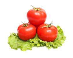 red tomatoes and green lettuce photo